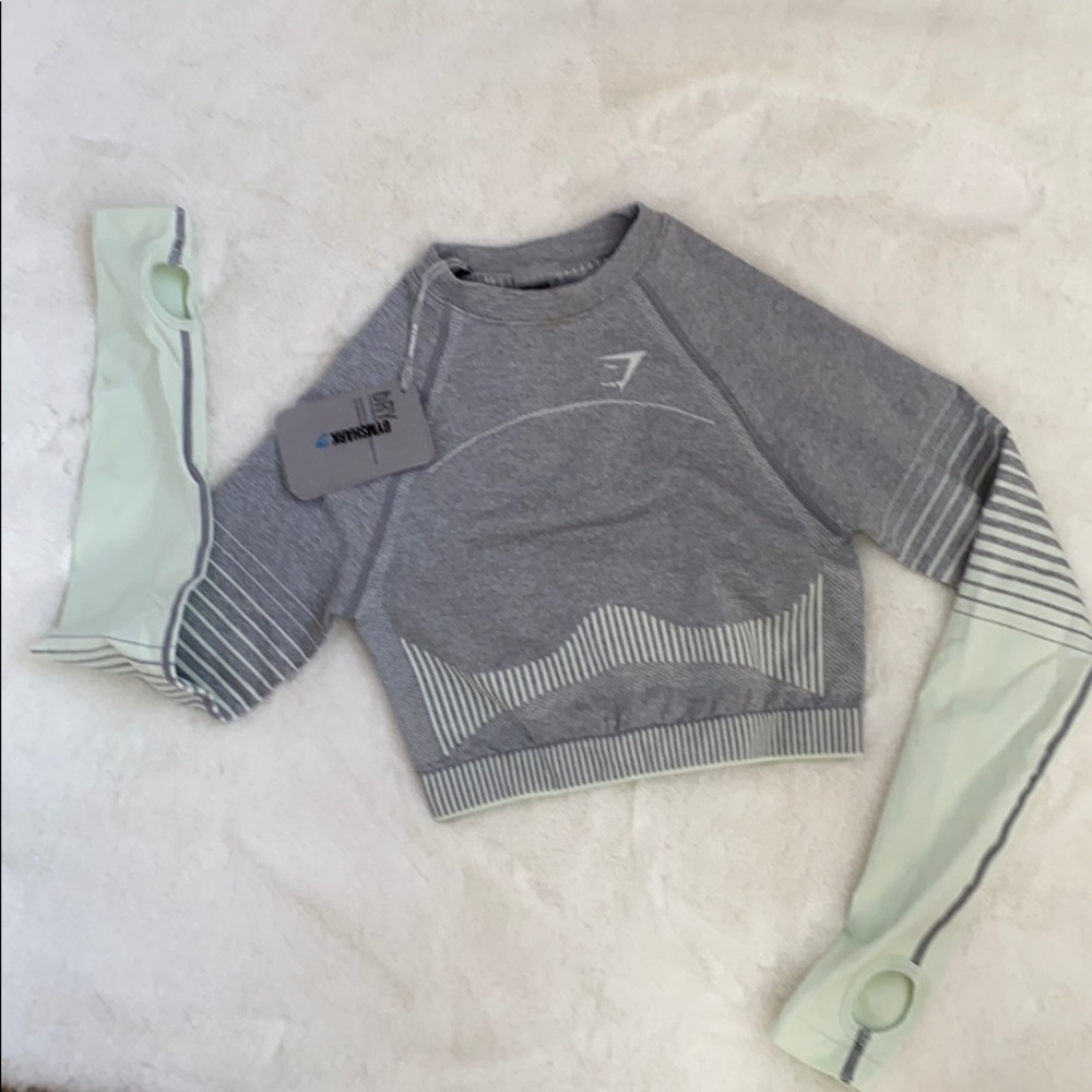 Amplify Seamless Long Sleeve Crop Top